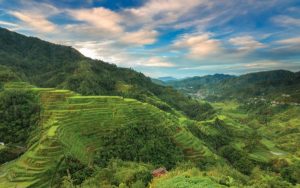 Banaue Rice Terraces 600