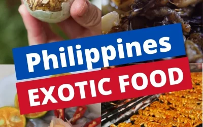 Exotic Filipino Food – 10 Bizarre Filipino Dishes for the Adventurous Eater