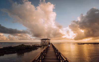 Statement of the Department of Tourism (DOT) Arrivals for the First Half 2018