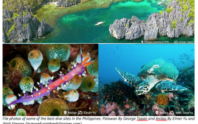 Philippines aims to be top diving destination in SE Asia