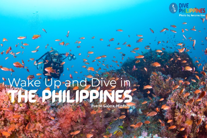 Wake up and Dive in the Philippines