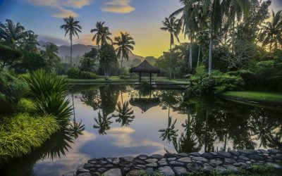 A Healthy and Holistic Holiday at The Farm at San Benito